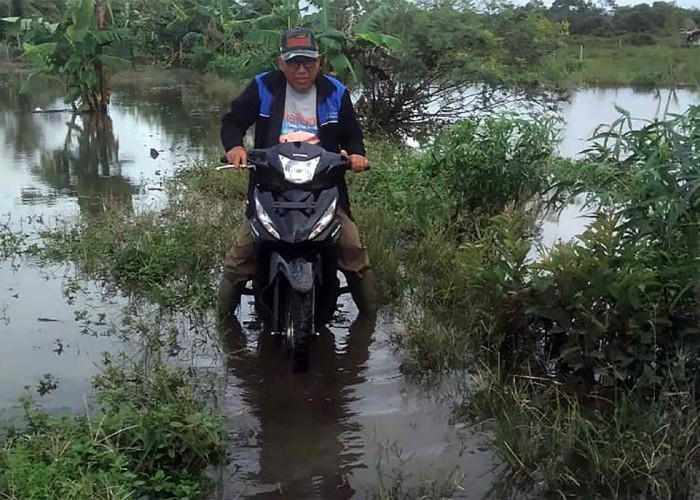 Petani Teramang Jaya Masih Menunggu Kehadiran Pemerintah Atasi Banjir