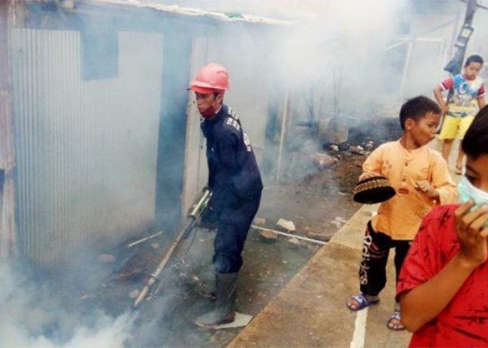 Harus Waspada! Inilah Bahaya dan Dampak Negatif Asap Fogging Terhadap Kesehatan