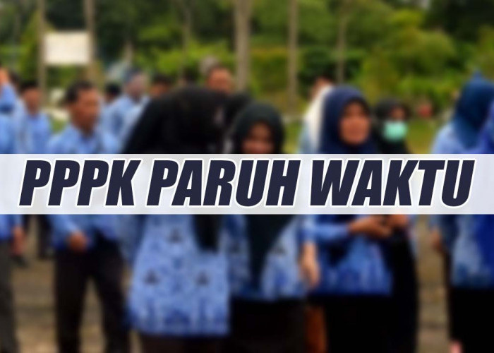 Gaji PPPK Paruh Waktu Sama Dengan Honorer, Tapi Hanya Sementara