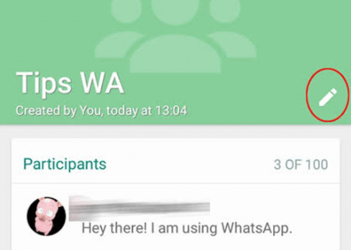 Ini Dia Cara Mengganti Nama Grup WhatsApp dengan Cepat dan Anti Ribet