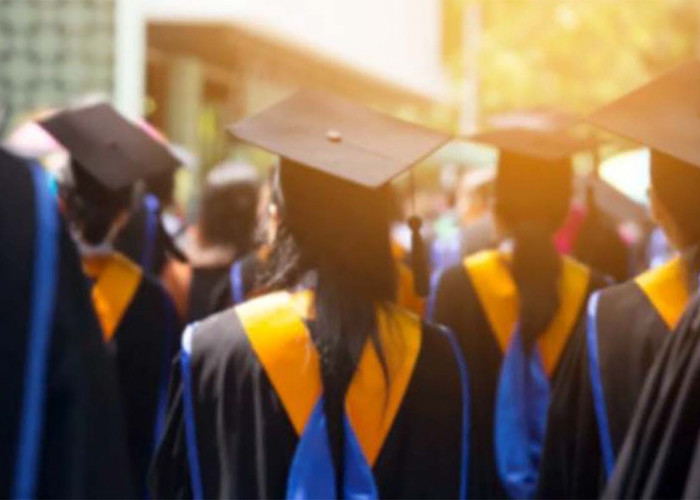 5 Langkah Melamar Pekerjaan Bagi Para Fresh Graduate Agar Tidak Menganggur