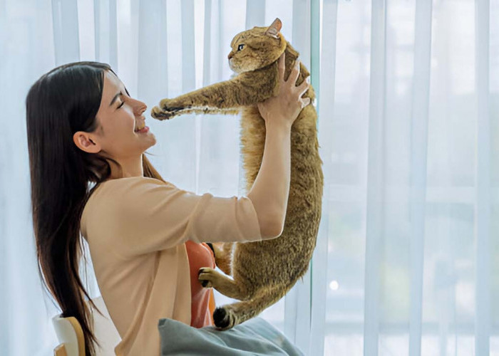 5 Kemampuan Kucing yang Jauh Lebih Baik dari Manusia