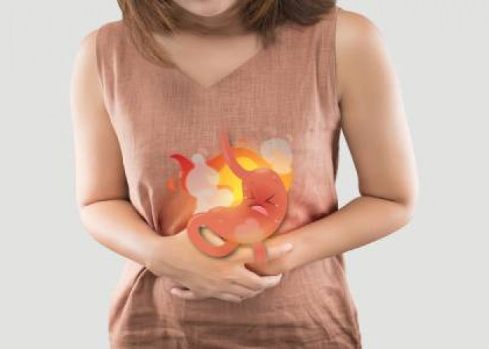 Ayo Kenali Perbedaan Sakit Lambung dan Sakit Empedu