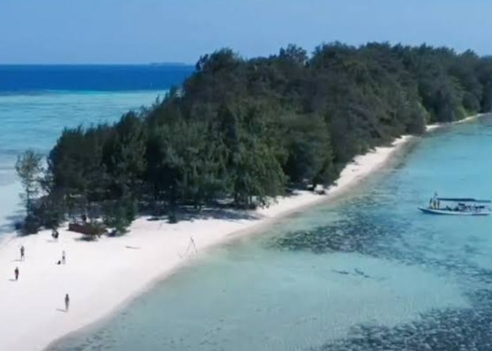 Menikmati Keindahan Alam Pulau Cemara Besar, Pulau Habitat Berbagai Biota Laut yang Cantik