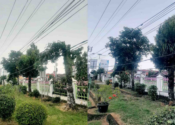 Kabel Listrik Terjuntai di Depan Eks Rumah Dinas Bupati Mukomuko, Mengundang Perhatian