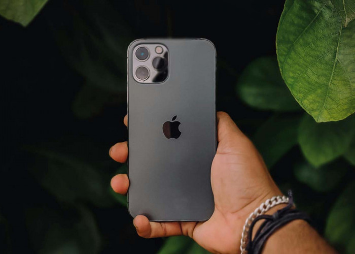 Mau Beli iPhone Baru? Kenali Perbedaan iPhone Inter dan iPhone iBox Terlebih Dahulu Agar Tidak Menyesal