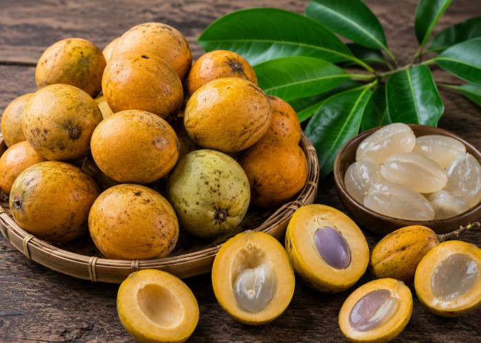 Manfaat Buah Gandaria bagi Kesehatan: Buah Tropis Nusantara yang Kaya Vitamin dan Antioksidan