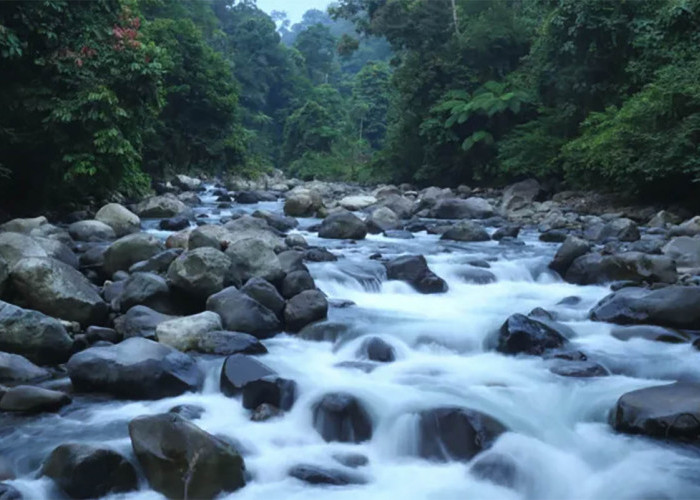 Wisata Alam Sungai Berau Bengkulu, Tempat Mencari Kedamaian dan Uji Adrenalin 
