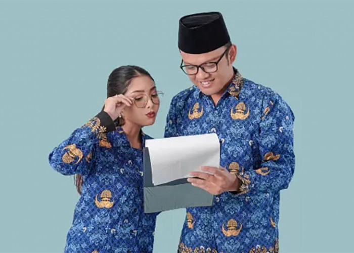 Pengisian DRH PPPK Paruh Waktu Wajib, Jika Tidak Sama Dengan Mengundurkan Diri