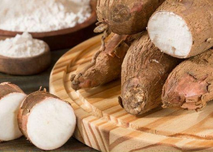 Singkong: Harta Karun Terpendam Menuju Kedaulatan Pangan Nasional