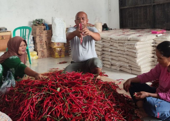 Perkuat Ketahanan Pangan Nasional, BRI Salurkan Pembiayaan ke Koperasi Penyuplai Bahan Pangan MBG