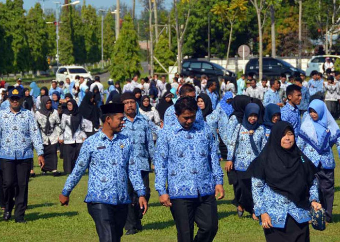 Absen Jadi Tolak Ukur, 2025 TPP PNS Dibayar Sesuai Kehadiran 