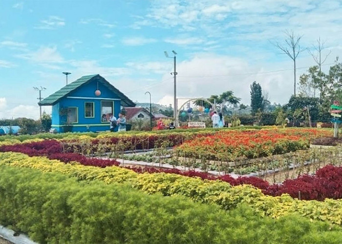 Libur Telah Tiba! Saatnya Mengeksplorasi Tempat Wisata yang Belum Pernah Kamu Jelajahi di Majalengka