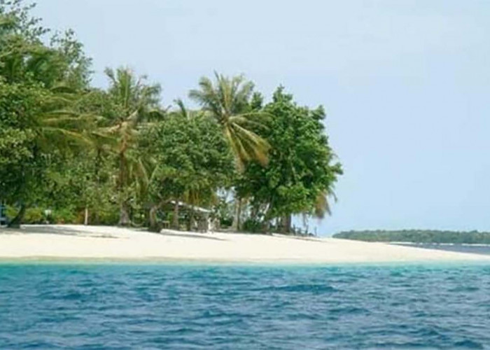 Bikin Tergoda, Inilah Keindahan Alam Pantai Carolina yang Menyejukkan Hati