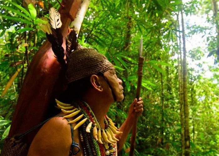 Legenda Tersembunyi: 3 Pantangan Suku Pedalaman Kalimantan