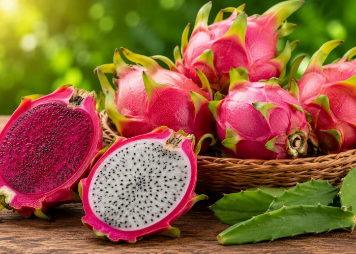 Manfaat Buah Naga bagi Kesehatan: Kaya Prebiotik yang Baik untuk Kesehatan Usus