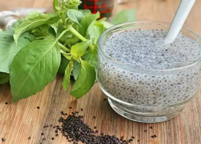 Manfaat Selasih untuk Kesehatan: Mulai dari Menyejukkan Tubuh Hingga Menurunkan Tekanan Darah