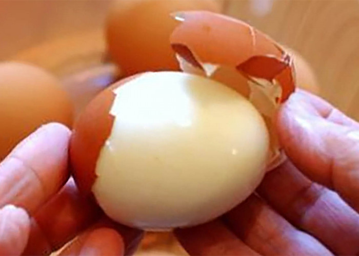 Penyebab Rebusan Telur Susah Dikupas dan Sering Alami Pecah, Bigini Caranya