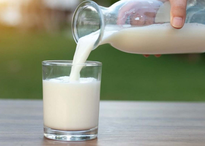 Berikut Kandungan Nutrisi Pada Susu dan Fungsi Imunitas Dalam Tubuh