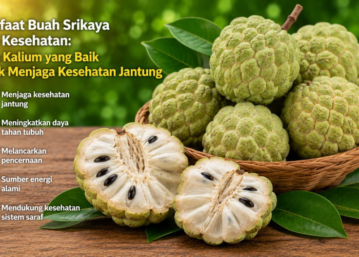 Manfaat Buah Srikaya bagi Kesehatan: Kaya Kalium yang Baik untuk Menjaga Kesehatan Jantung