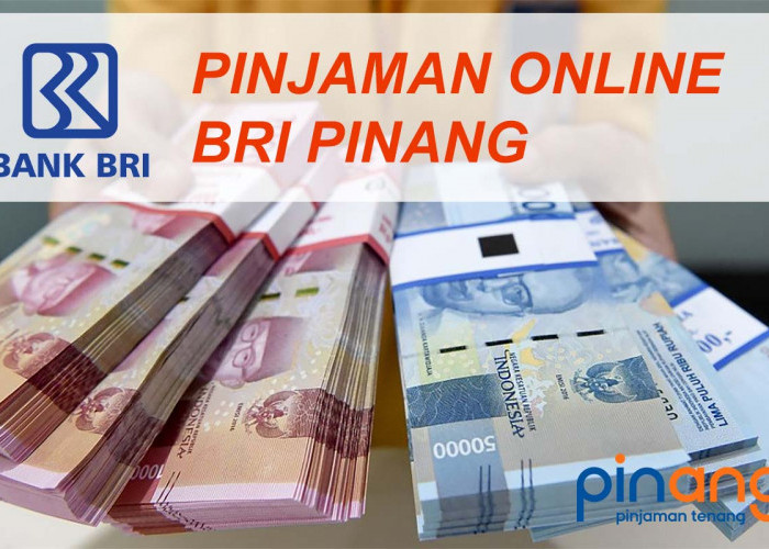 Pinjaman Online BRI PINANG, Syarat Mudah dan Bisa Langsung Cair Rp 25.000.000