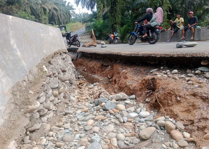 Gerak Cepat, Pemkab Mukomuko Segera Tangani Kerusakan Ruas Jalan Wonosobo – Sumber Mulya