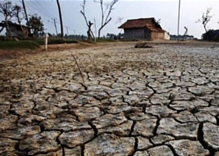 Hadapi Dampak El Nino, Ini Strategi yang Disiapkan Pemerintah