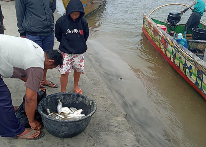 Kemarau Berdampak Positif dan Negatif Bagi Nelayan, Tangkapan Melimpah Tapi Ada Kendala Melaut