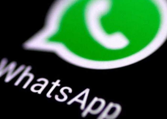 Fitur Baru WhatsApp Bisa Sematkan Kontak Pribadi di Status