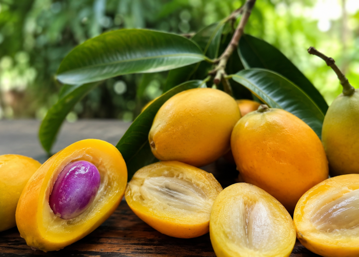 Manfaat Buah Gandaria bagi Kesehatan: Buah Tropis dengan Rasa Asam Segar
