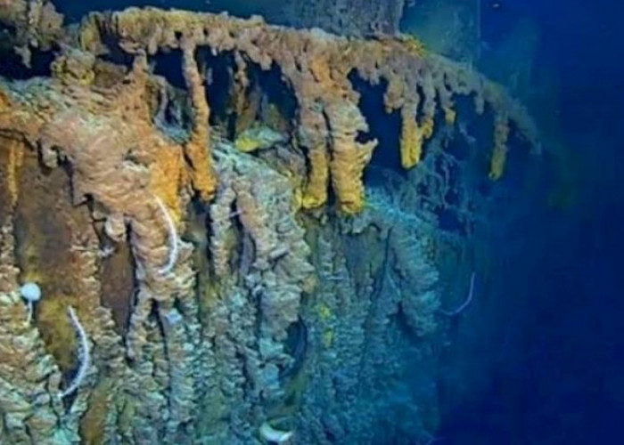Menurut Ilmuan Mann dan Kaur dari Dalhousie University, Bakteri Pemakan Titanic Kelompok Ini