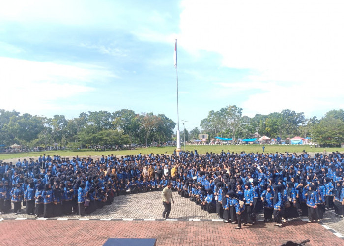 1.875 Orang PPPK Paruh Waktu Mukomuko Gigit Jari, Dipastikan Tidak Mendapat THR