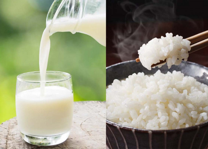 Susu Vs Nasi Pilihan Keduanya Bisa Mengenyangkan, Benarkah Minum Susu Kenyangnya Lebih Lama? 