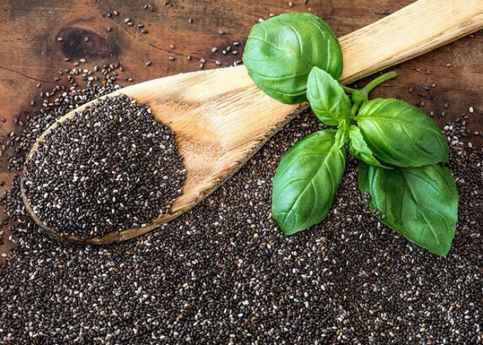 Cara Menanam dan Merawat Selasih di Rumah agar Tanaman Mu Sepanjang Musim