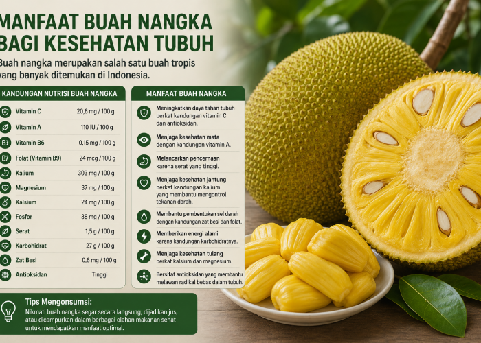 Buah nangka merupakan salah satu buah tropis yang banyak ditemukan di Indonesia.
