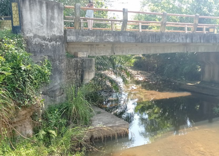 Jembatan Penghubung Desa Makmur Jaya Rusak 