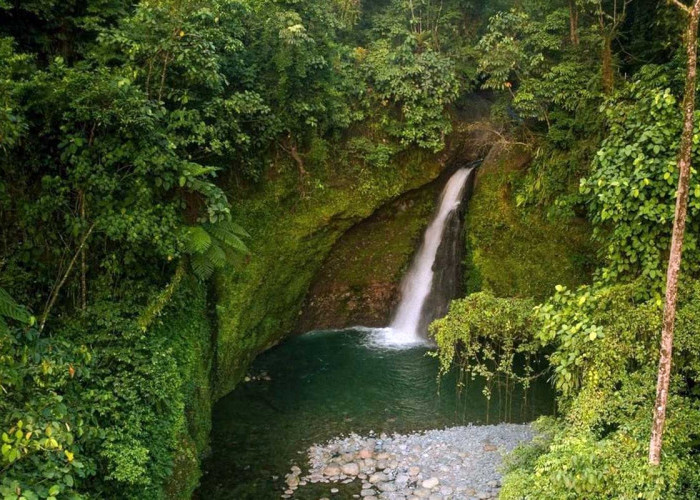 3 Wisata Air Terjun Yang Wajib Kamu Kunjungi Di Bengkulu