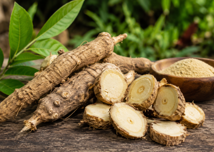 Manfaat Pasak Bumi bagi Kesehatan: Akar Herbal Khas Nusantara
