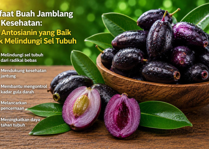 Manfaat Buah Jamblang bagi Kesehatan: Kaya Antosianin yang Baik untuk Melindungi Sel Tubuh