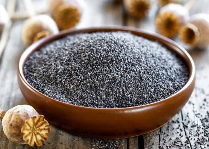 Manfaat Chia Seed untuk Pencernaan Lancar: Atasi Sembelit dengan Cara Alami!