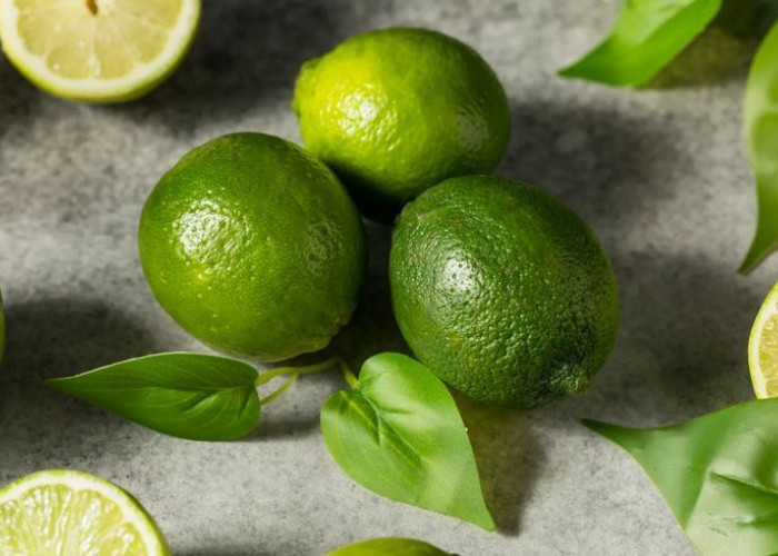 Tips Memilih dan Menyimpan Jeruk Nipis Segar agar Tetap Segar dan Mudah Digunakan dalam Masakan
