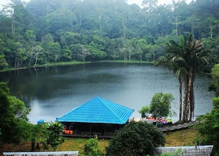 Bikin Hati Adem dan Menyegarkan, Inilah Pesona Alam Danau Aco dengan Pepohonan yang Masih Asri