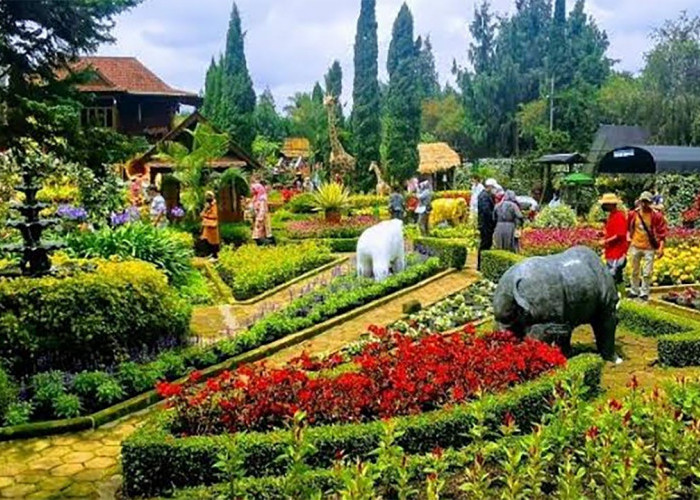 Cocok untuk Liburan Bersama Pasangan! Nikmati Kesegaran Udara dan Pemandangan yang Romantis di Kebun Begonia