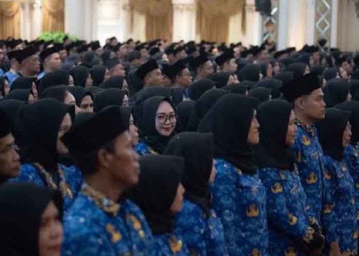 Jenis Tunjangan dan Besaran Gaji Pokok PPPK 2025, Lebih Besar dari CPNS