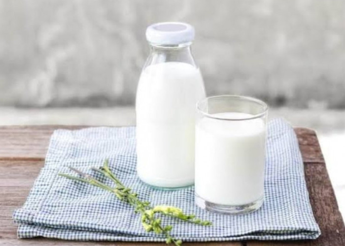 Mengapa Susu Kambing Lebih Cepat Dicerna Tubuh Ketimbang Susu Sapi, Berikut Kandungan Nutrisi dan Faktanya