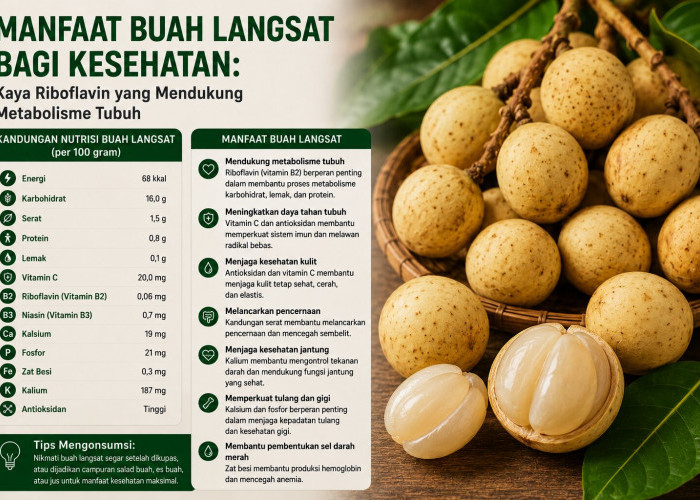 Manfaat Buah Langsat bagi Kesehatan: Kaya Riboflavin yang Mendukung Metabolisme Tubuh