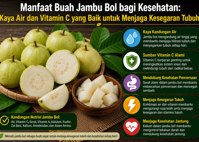 Manfaat Buah Jambu Bol bagi Kesehatan: Kaya Air dan Vitamin C yang Baik untuk Menjaga Kesegaran Tubuh