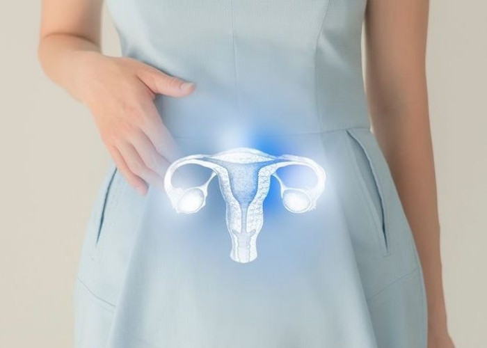 Konsultasi dengan Dokter Kandungan: Langkah Penting untuk Menjaga Kesehatan Rahim!