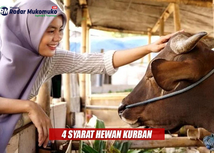 Jangan Salah Pilih! Inilah 4 Syarat Hewan Kurban yang Bisa Dikurbankan