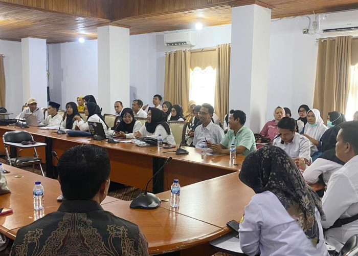 Gaji Honorer R2, R3 dan R4 Berpotensi Naik Setelah Diangkat PPPK Paruh Waktu